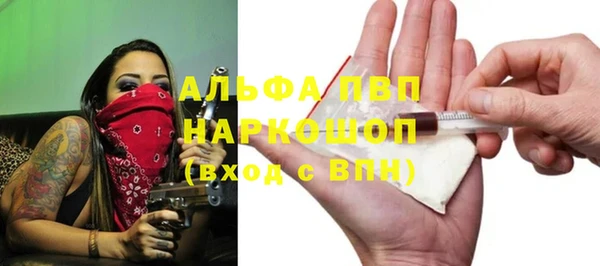 крисы Магас