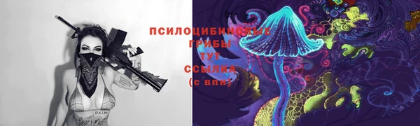 стафф Медвежьегорск