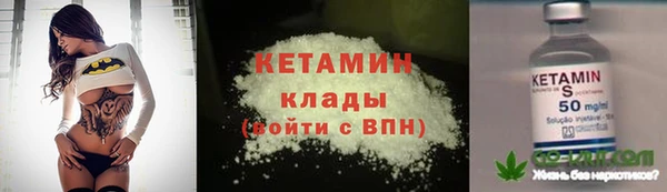 крисы Магас