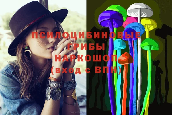 крисы Магас