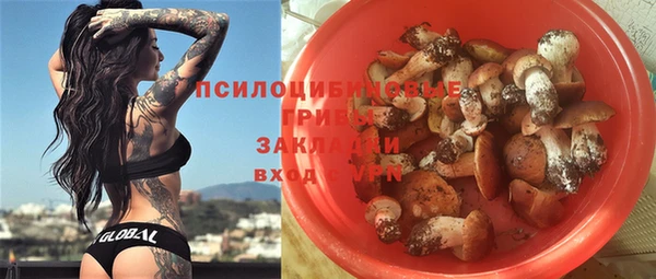 стафф Медвежьегорск